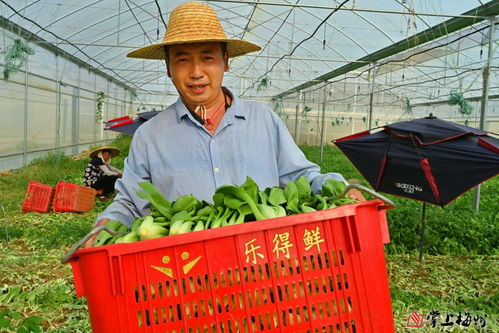 小特色撬動大產(chǎn)業(yè) 梅江區(qū)苗木產(chǎn)業(yè)的市場化、產(chǎn)業(yè)化、品牌化路徑