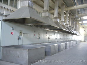 泉州高性價比噴碼機(jī)配套設(shè)備廠家直銷，助力蔬菜行業(yè)高效標(biāo)識