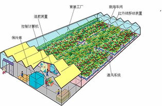 計算機(jī)控制的簡易植物工廠模型 無公害蔬菜生產(chǎn)新路徑
