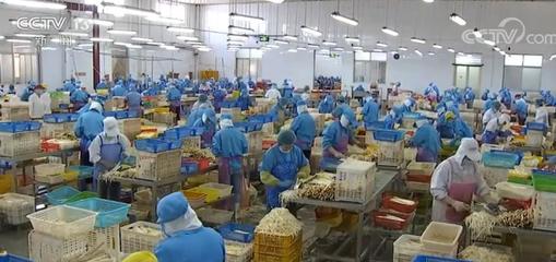 拓市場穩(wěn)訂單，我國蔬菜出口逐步回暖