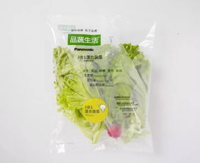 蘇州松下新植物工廠蔬菜正式出貨，科技農(nóng)業(yè)開啟綠色新篇章