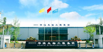 疫苗領(lǐng)域的革命 第三代核酸疫苗的崛起與重慶技術(shù)服務(wù)