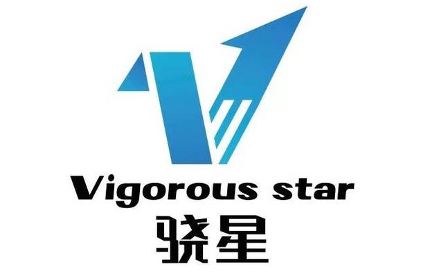 浙江驍星科技 數(shù)字化轉(zhuǎn)型中的專業(yè)信息咨詢服務(wù)與價(jià)值創(chuàng)造